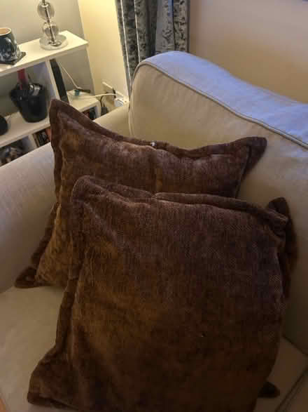 Photo of free Pair of Feather Cushions (Luton LU3) #2