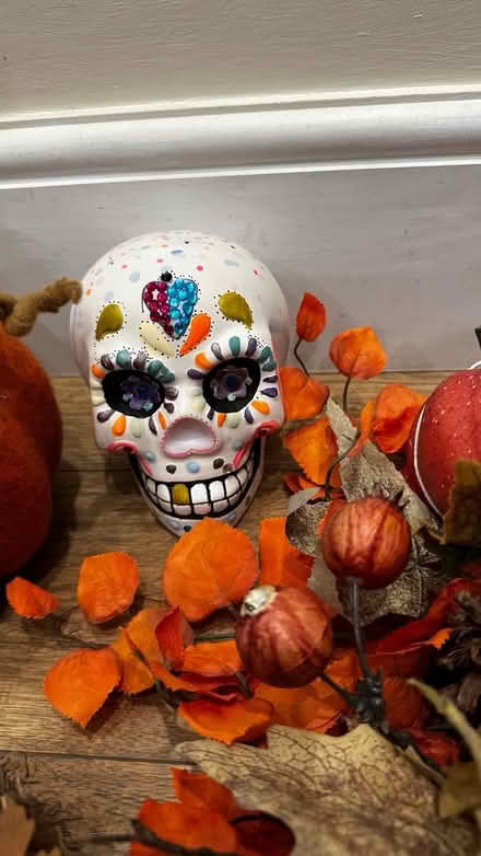 Photo of free Halloween Decorations (SW11 Battersea) #3