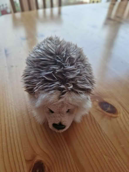 Photo of free Hedgehog toy (SE10) #1