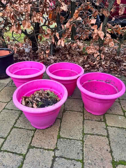 Photo of free 4 pink plastic plant pots (Penrith CA11) #1