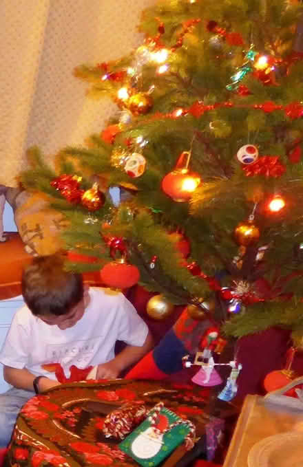 Photo of free Plastic Christmas tree about 6ft high (Hove Park area BN3) #1