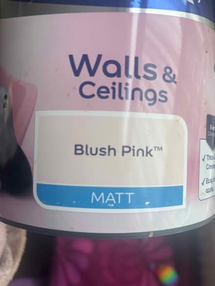 Photo of free Dulux Matt Emulsion (Portsmouth PO1) #2