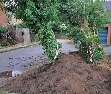 Photo of free garden soil (Tooting SW17) #1