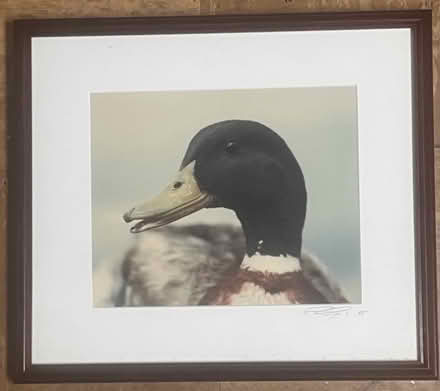 Photo of free Photograph with frame #6 (Tenleytown, DC) #1