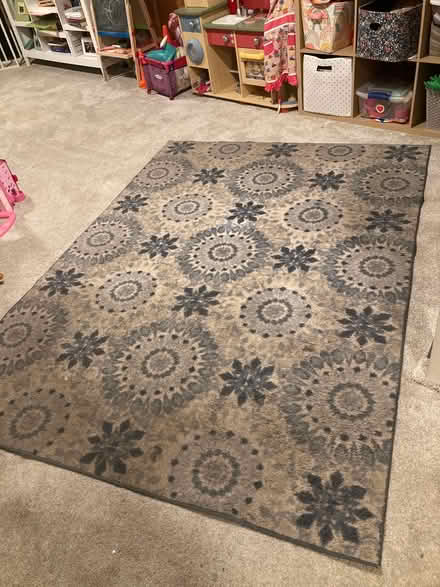 Photo of free Area rug (Sauganash park) #1