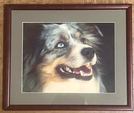 Photo of free Photograph with frame #5 (Tenleytown, DC) #1