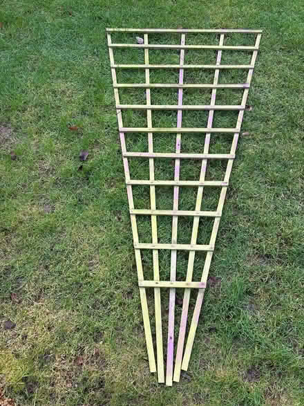 Photo of free Trellis panel (Cobham, KT11) #1
