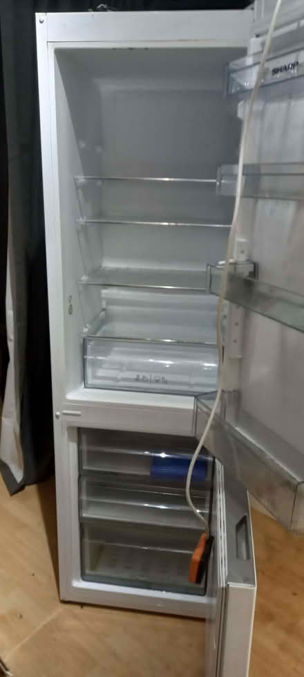 Photo of free tall fridge freezer , sharp,fully working ,house clearance (Bachelor's Bump TN35) #1