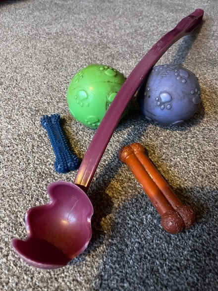 Photo of free Dog toys (St Leonards TN38) #1