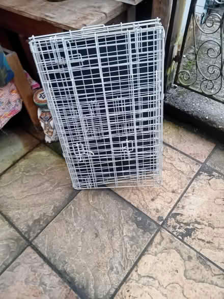 Photo of free Dog crate (Buriton GU31) #2