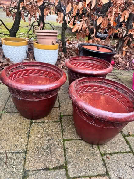 Photo of free 3 Plastic Terracotta Plant Pots (Penrith CA11) #3
