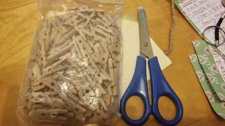 Photo of free Small wooden pegs (Kirk Hallam DE7) #2