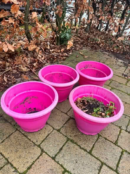 Photo of free 4 pink plastic plant pots (Penrith CA11) #3