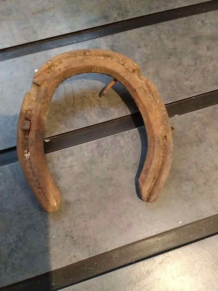 Photo of free Rusty old horseshoe (North Newton TA7) #1