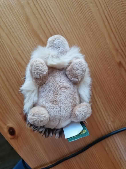 Photo of free Hedgehog toy (SE10) #2