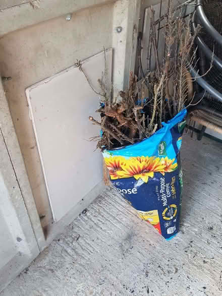 Photo of free Kindling (Hellesdon NR6) #1