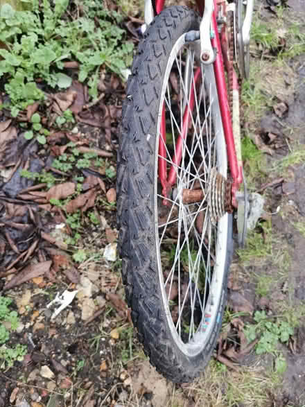 Photo of free Girls Bicycle (Parkstone BH14) #4