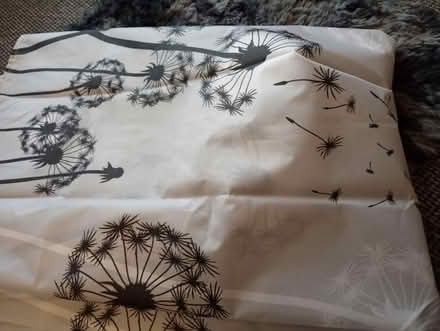 Photo of free Shower curtain (Willesborough) #1