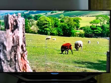 Photo of free 46" Samsung LCD TV (Walton-on-Thames KT12) #4