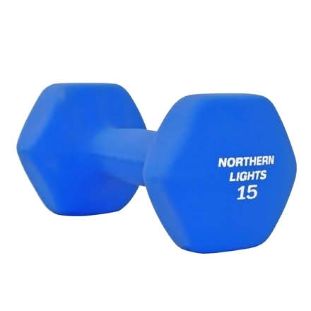 Photo of 15 lb weights (Near Christie Pits) #1