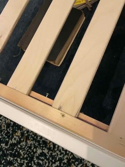 Photo of free Child’s Bed (Wood Green N22) #3