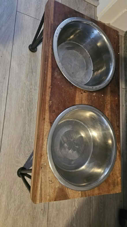 Photo of free Elevated dog bowls (CH42) #2