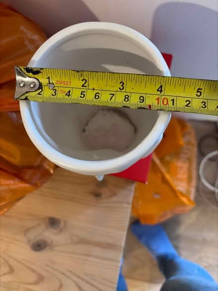 Photo of free Flowerpot (Chiswick W4) #2