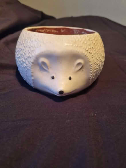 Photo of free Pot plant china pots x 3 (Banstead, Surrey) #2