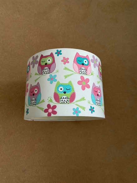 Photo of free Owl lamp shade (Locks Heath SO31) #3