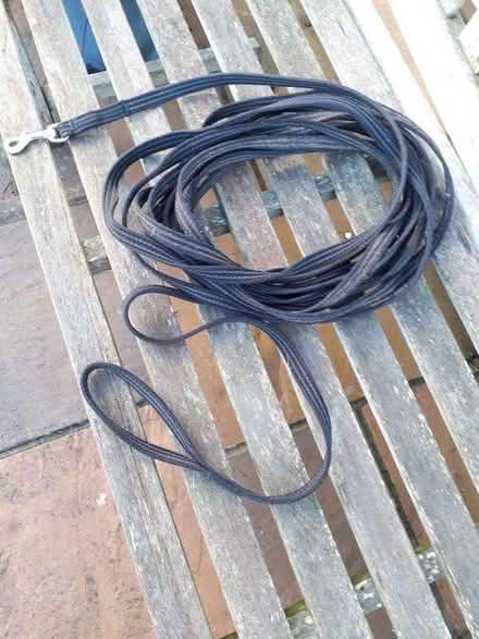 Photo of free Longline dog training lead (IP6) #1