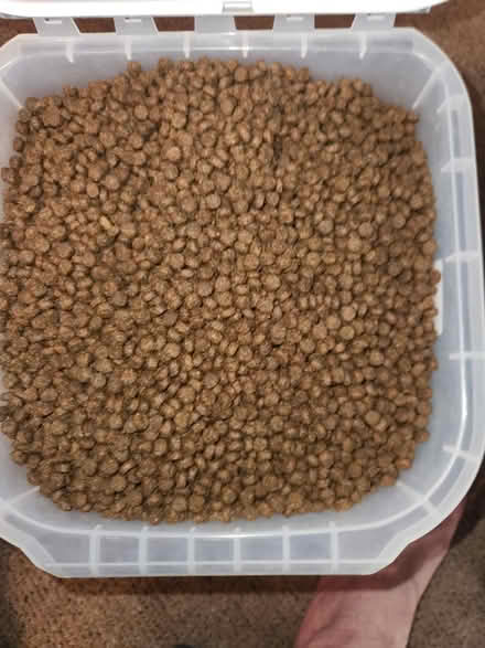 Photo of free Dry cat food (Tatum and cactus area) #2