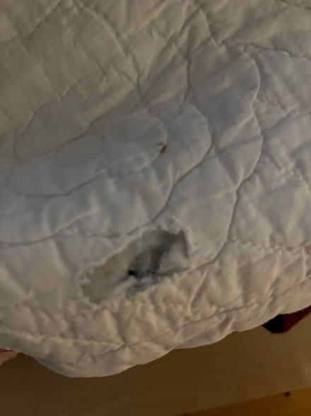 Photo of free Queen size quilt needing TLC (Hintonburg) #3