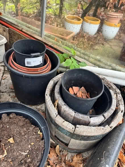 Photo of free Assortment of plant pots (Penrith CA11) #4