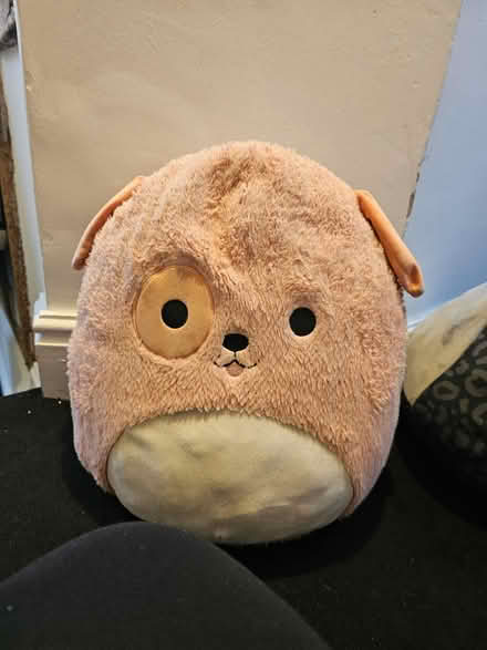 Photo of free 3 cat and dog squishmallows (Thame OX9) #4