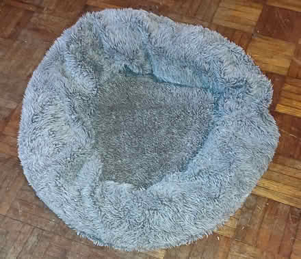 Photo of free Dog/cat bed (Pontesford SY5) #1