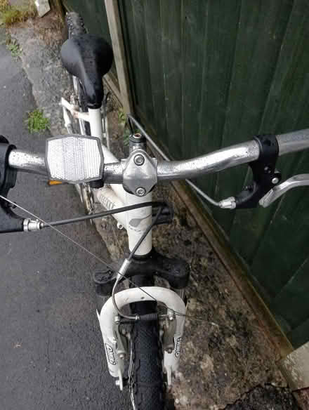 Photo of free Ridgeback girls bike (Dovecote BS37) #2