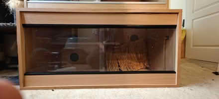 Photo of free 3ft reptile vivarium (Dunstable LU5) #1