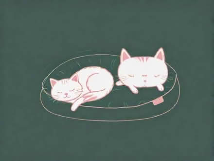 Photo of free Salmon pink cat or dog bed (Garstang PR3) #1