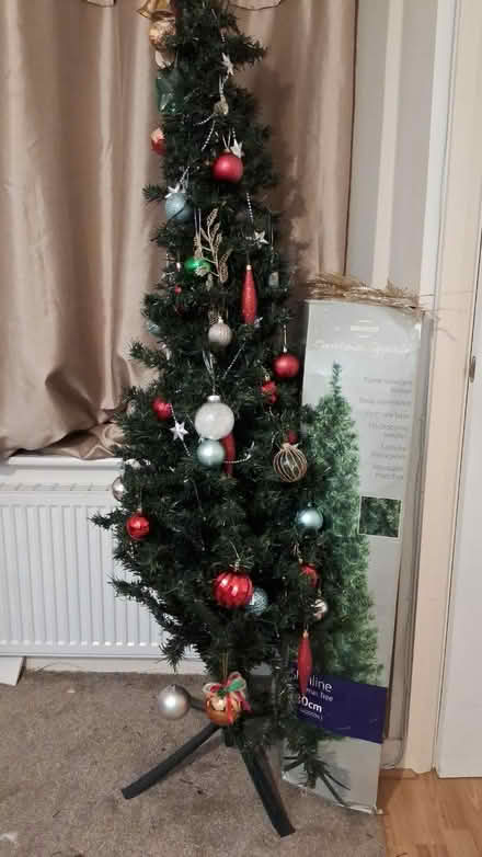 Photo of free Christmas tree 🎄 (Nottingham NG3) #3