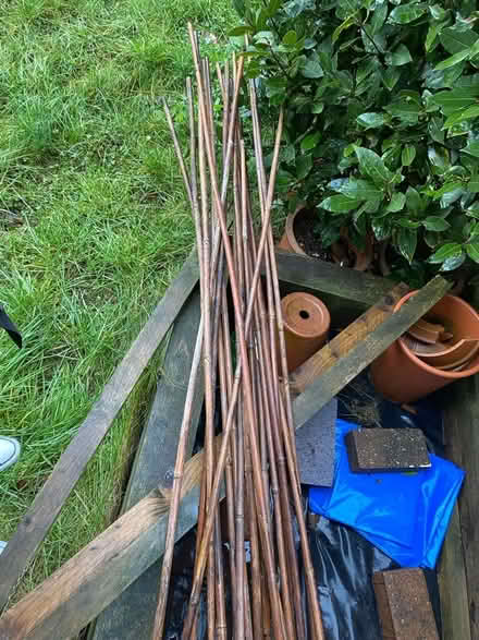 Photo of free Bamboo canes (Oakwood derby) #1