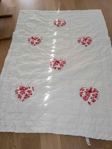 Photo of free Single bed bedcover (Raynes Park SW20) #1