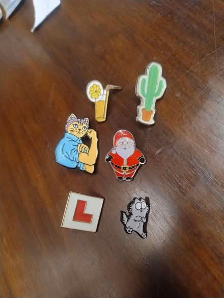 Photo of free Pins (Botley) #1