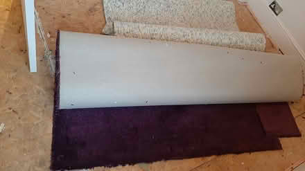 Photo of free Carpet and underlay (Vyne Road, Basingstoke, RG21) #1
