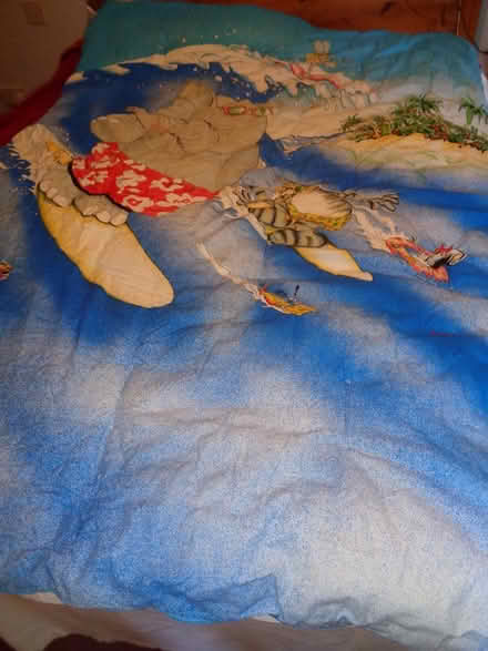 Photo of free Single duvet (TQ12 4QX) #1