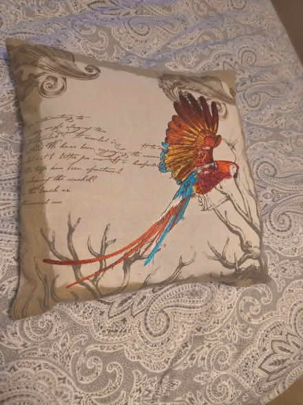 Photo of free Beige cushion with parrot (Barnard's Green WR14) #1