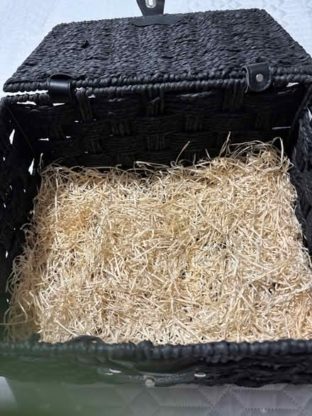 Photo of free Hamper basket (Oswestry SY11) #2