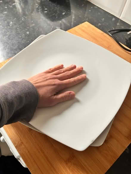 Photo of free Plates (Close to Ravenscourt Park) #1