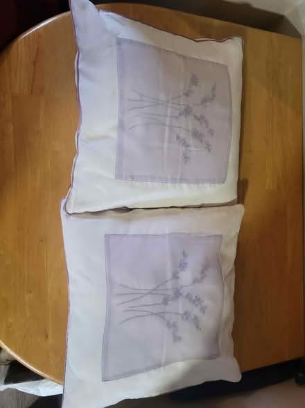 Photo of free 2 x lavender design cushions (Ballyclare BT39) #1