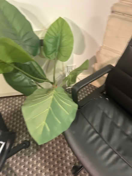 Photo of free Computer chair (West Ealing) #3