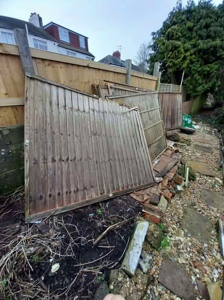 Photo of free 9 fence panels 6x5ft (Bevendean BN2) #2